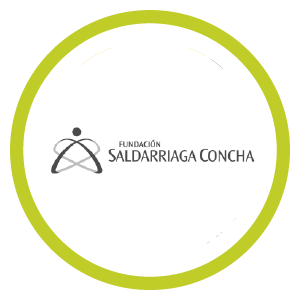 Fundación Saldarriaga Concha 1
