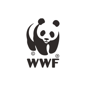 WWF 1 WWF 1